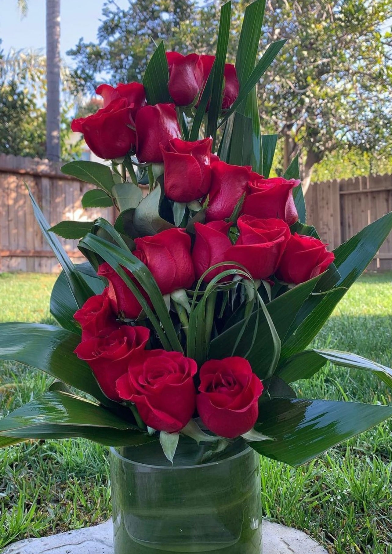 Snake roses with teddy bear or not