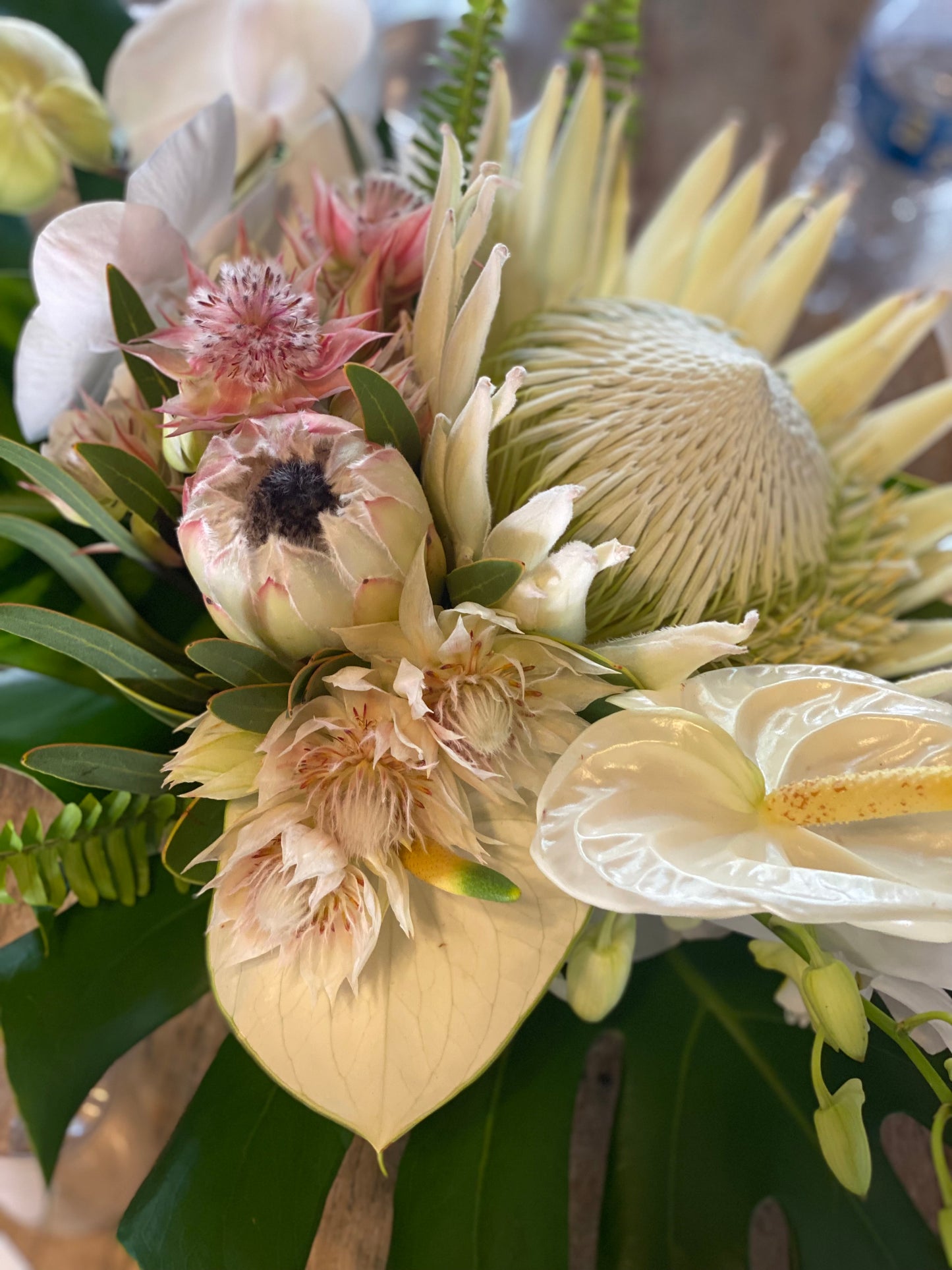 Tropical with king protea