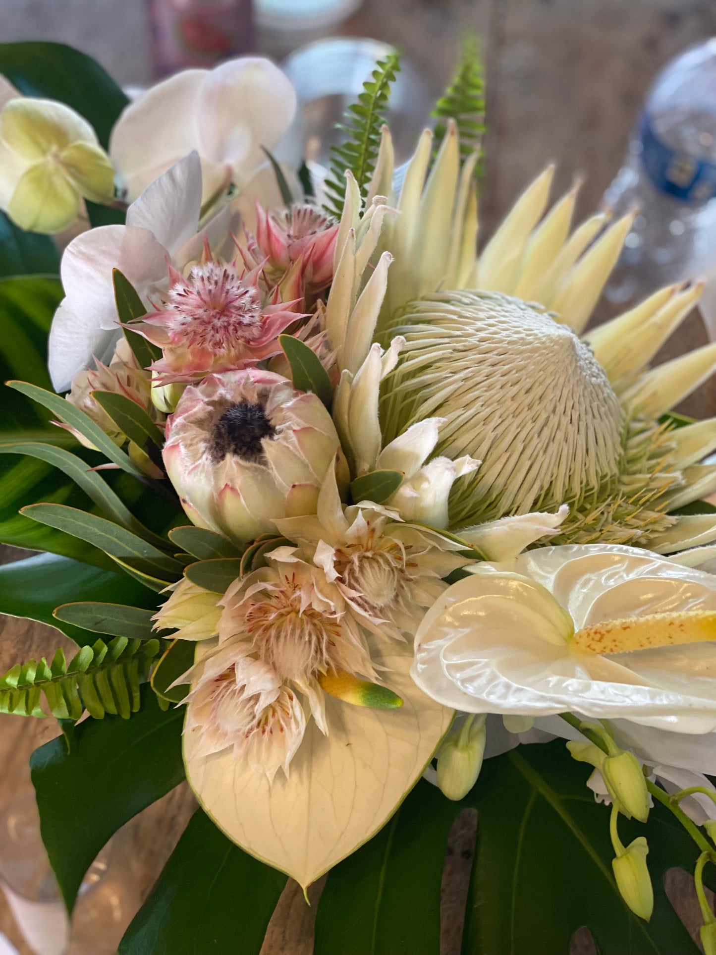 Tropical with king protea